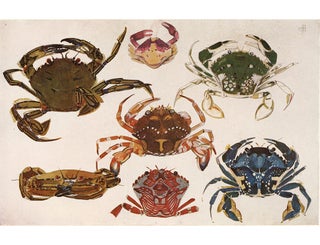 Item nr. 163913 Etrille and Ebalia. Étude de la Mer. Mathurin Meheut