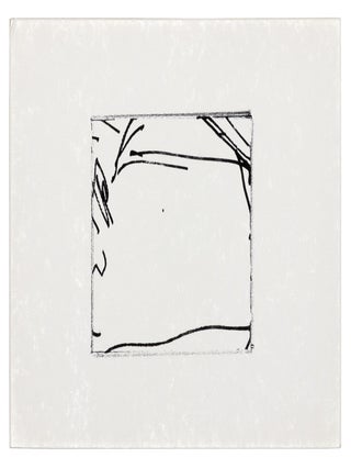 Richard Tuttle. A Drawing Book
