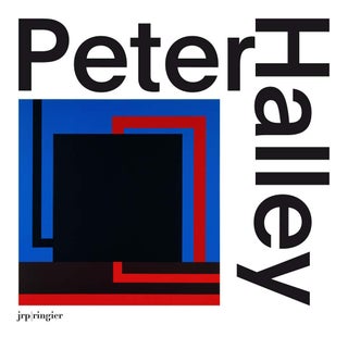 Item nr. 164643 PETER HALLEY: Paintings of the 1980s. The Catalogue Raisonné. Clement Dirie,...