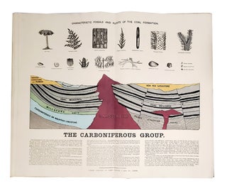 A series of large geological diagrams, illustrating the principles of this important and practical science ... With explanatory notes upon each diagram.