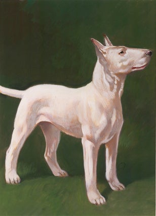 Item nr. 165176 Bull Terrier. Unknown