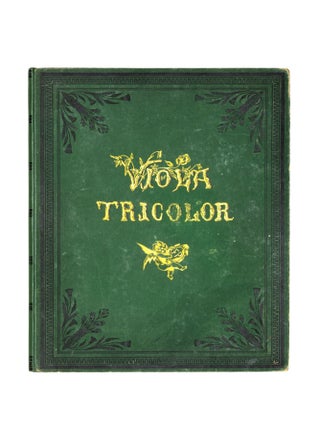 Viola Tricolor in Picture and Rhyme.