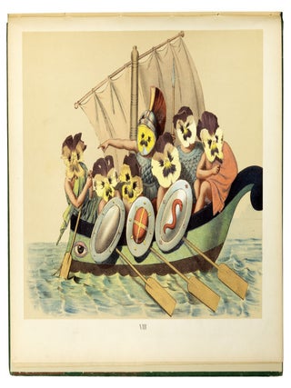 Viola Tricolor in Picture and Rhyme.