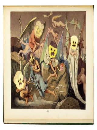 Viola Tricolor in Picture and Rhyme.