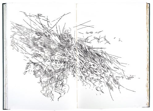 Item nr. 167374 Poetry of Sappho, with English translation by John Daley and Page duBois, with introduction by Page duBois, and twenty prints by Julie Mehretu. Julie MEHRETU, Sappho.