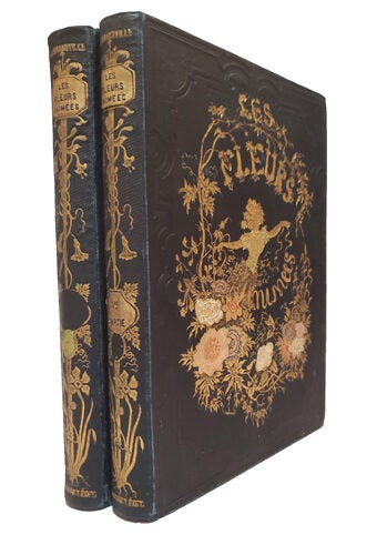 Les Fleurs Animees | J J. Grandville