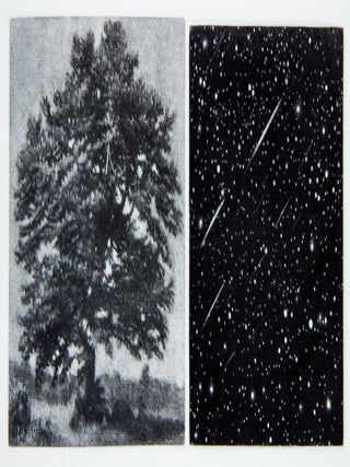 Item nr. 169440 The View. Vija CELMINS, Czeslaw Milosz