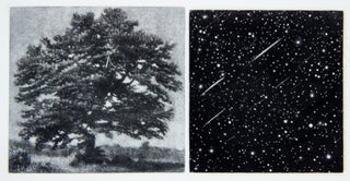 Item nr. 169440 The View. Vija CELMINS, Czeslaw Milosz