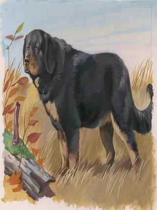 Item nr. 169909 Tibetan Mastiff. Unknown