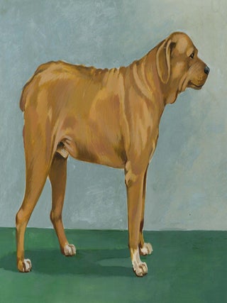 Item nr. 169911 Belgian Mastiff (Matin Belge). Unknown