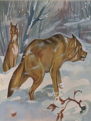 Item nr. 169913 Wolves in Snow. Unknown