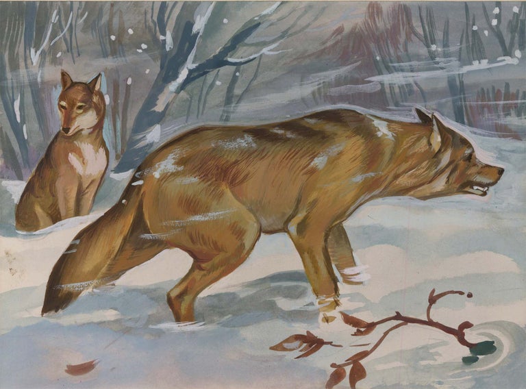 Item nr. 169913 Wolves in Snow. Unknown.