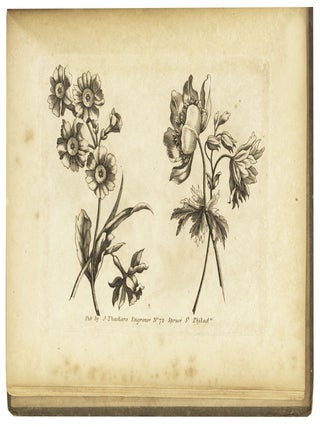 Thackara’s Drawing Book for the Amusement and Instruction of Young Ladies & Gentlemen in the Pleasing and Elegant Art of Drawing