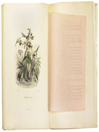 Les Fleurs Animees