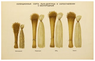L’novodstvo, khlopkovodstvo i sakharnaya svekla: Tsvetnye tablitsy [i.e. Cultivation of Flax, Cotton, and Sugar Beet: Colorful Tables]