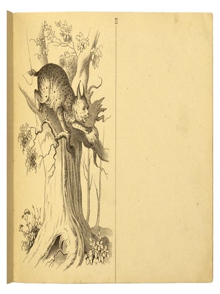 Zeichenheft. I. Heft. Vorübungen. II. Heft. Ornamente, Rosetten u. Arabesken. III. Heft. Haus &- Küchengeräte. IV. Heft. Thier- und Pflanzen-Zeichnen. V. Heft. Landschafts-Zeichnen