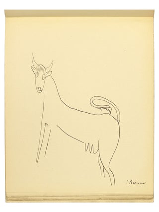 Plante si Animale: terase