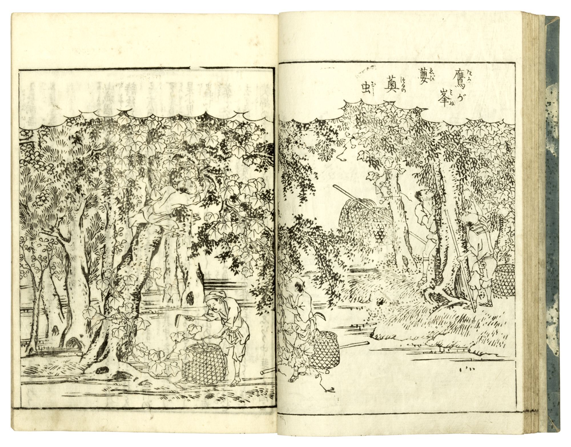 Nihon Sankai Meisan Zue | Kenkado KIMURA