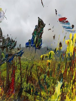 GERHARD RICHTER: The Overpainted Photographs A Comprehensive Catalog
