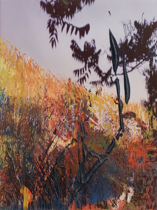 GERHARD RICHTER: The Overpainted Photographs A Comprehensive Catalog