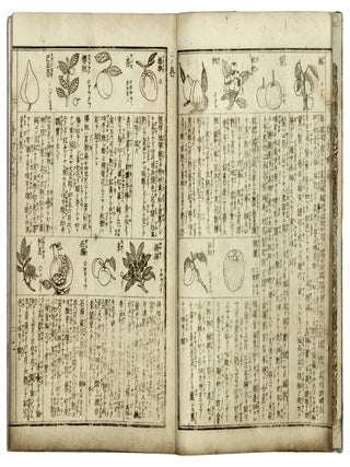 Hakubutsuzu ryakkai