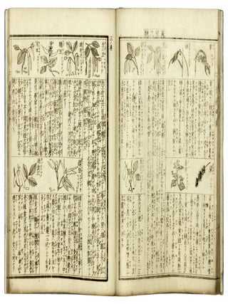 Hakubutsuzu ryakkai