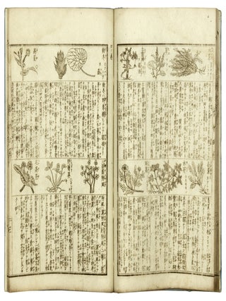 Hakubutsuzu ryakkai