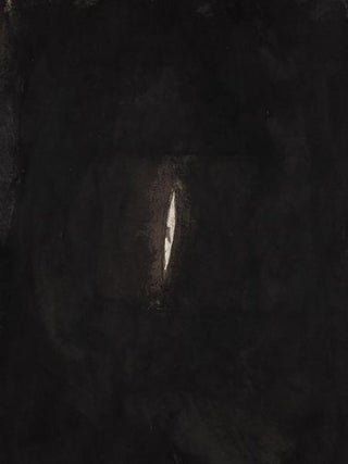 Item nr. 172932 ANISH KAPOOR. Taco Dibbits