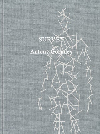 Item nr. 173420 ANTONY GORMLEY: Survey. Jed Morse, Carlos Basualdo