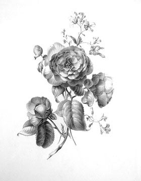 Item nr. 95592 Bouquet with Roses. Sophie Schiffner, Austrian School