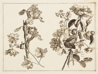 Item nr. 95596 Blumen Duft. Set of 8 engravings. Johann Christoph Weigl