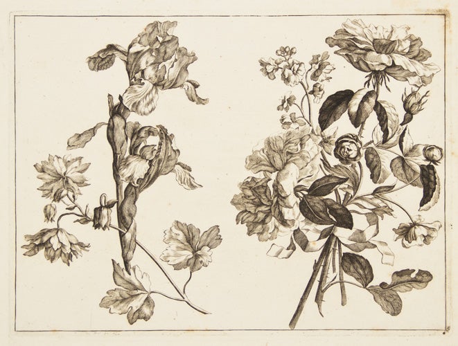 Item nr. 95596 Blumen Duft. Set of 8 engravings. Johann Christoph Weigl.